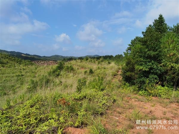 赤峰市带着徒弟上山学杨公风水现场操作