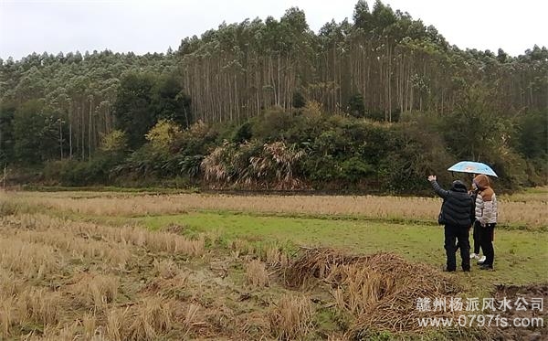 赤峰市陈老师带着爱徒寻龙点穴